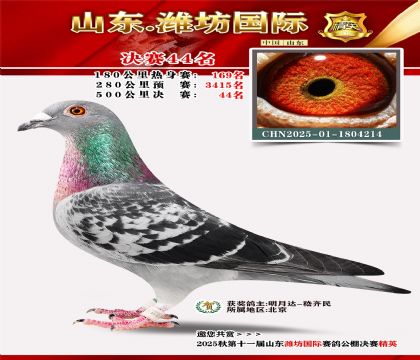 Ϋ�����ʾ���44��