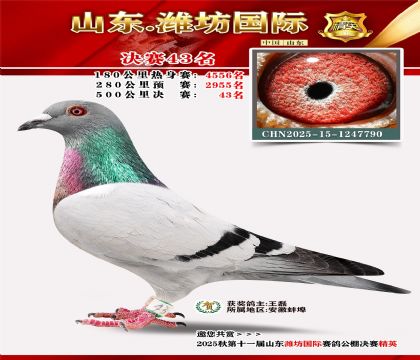 Ϋ�����ʾ���43��