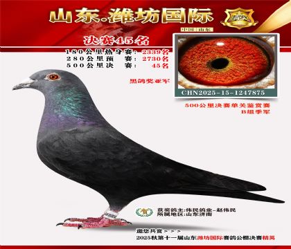 Ϋ�����ʾ���45��