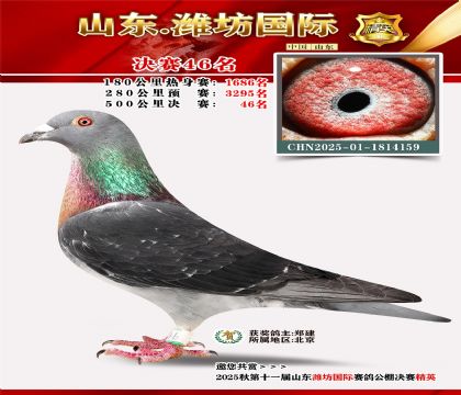 Ϋ�����ʾ���46��