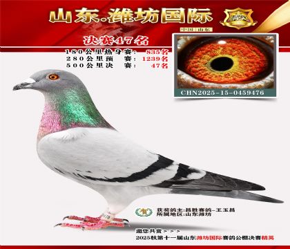 Ϋ�����ʾ���47��