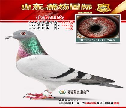 Ϋ�����ʾ���49��