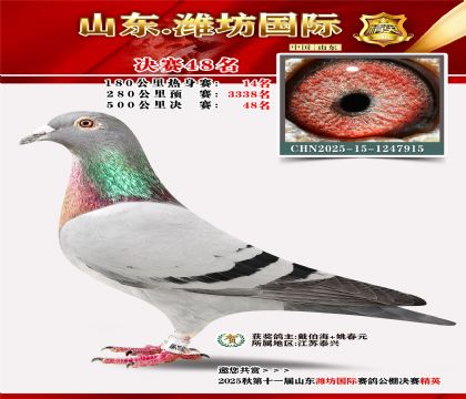 Ϋ�����ʾ���48��