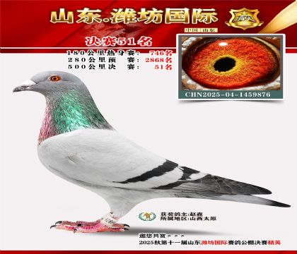 Ϋ�����ʾ���51��