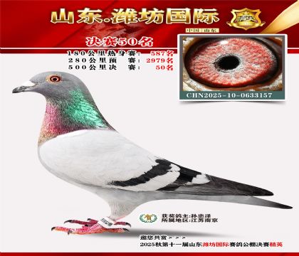 Ϋ�����ʾ���50��