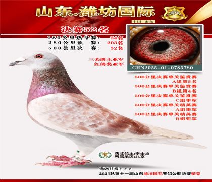 Ϋ�����ʾ���52�������ظ����Ǿ���