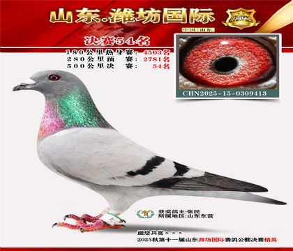 Ϋ�����ʾ���54��