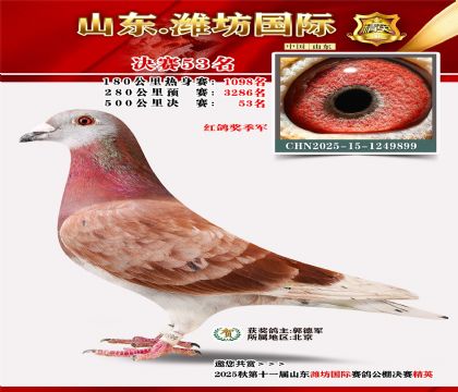 Ϋ�����ʾ���53��