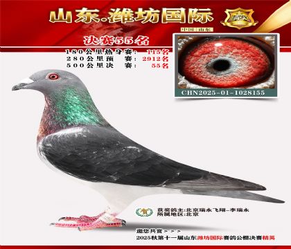 Ϋ�����ʾ���55��