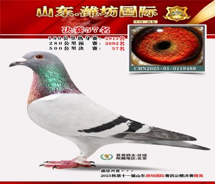 Ϋ�����ʾ���57��