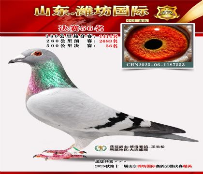 Ϋ�����ʾ���56��