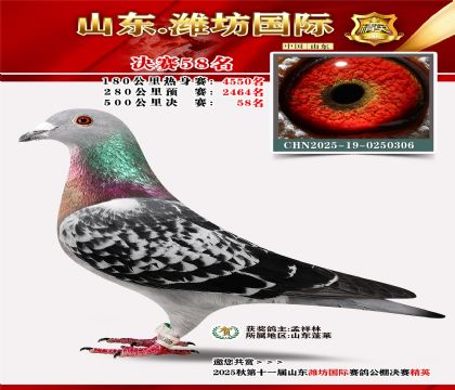 Ϋ�����ʾ���58��