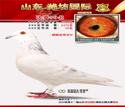 Ϋ�����ʾ���59��