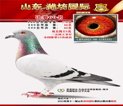 Ϋ�����ʾ���60�������ظ���������