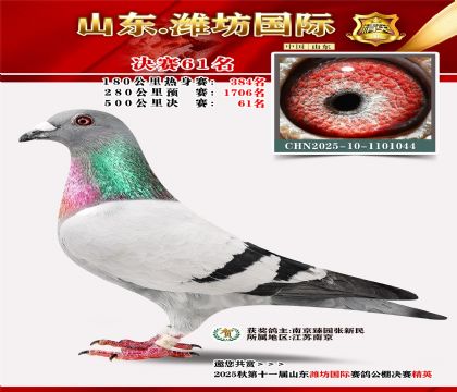 Ϋ�����ʾ���61��