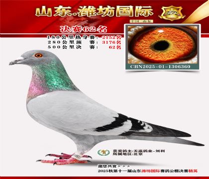 Ϋ�����ʾ���62��