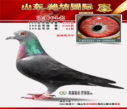 Ϋ�����ʾ���64��