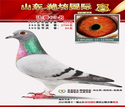 Ϋ�����ʾ���63��