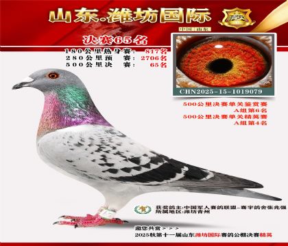 Ϋ�����ʾ���65��