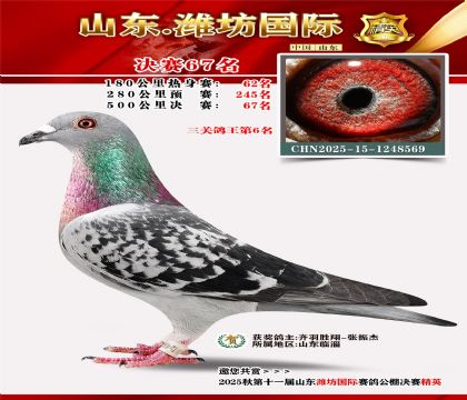 Ϋ�����ʾ���67�������ظ���6����