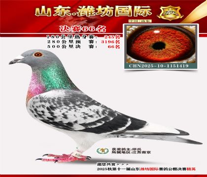 Ϋ�����ʾ���66��