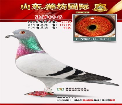 Ϋ�����ʾ���69��