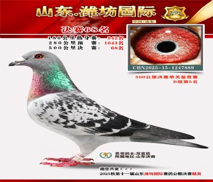 Ϋ�����ʾ���68��