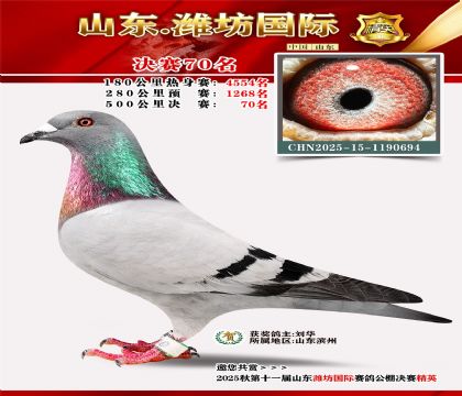 Ϋ�����ʾ���70��