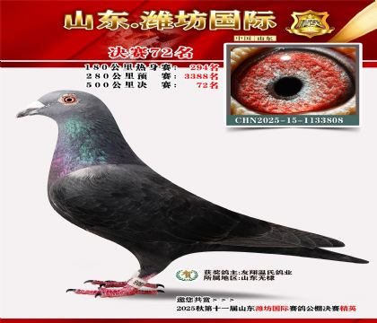 Ϋ�����ʾ���72��