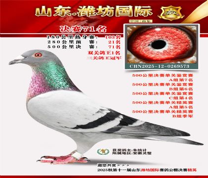 Ϋ�����ʾ���71�������ظ����ھ���