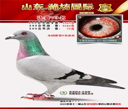 Ϋ�����ʾ���73��