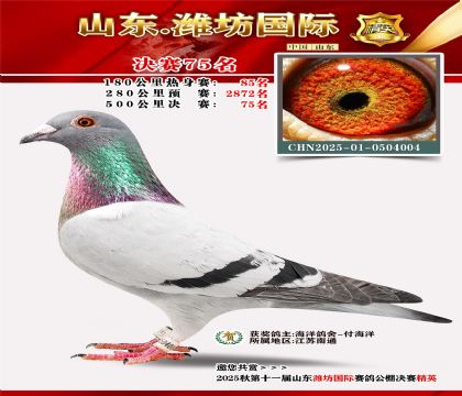 Ϋ�����ʾ���75��