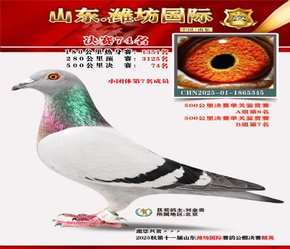 Ϋ�����ʾ���74��