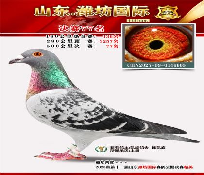 Ϋ�����ʾ���77��