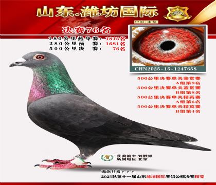 Ϋ�����ʾ���76��