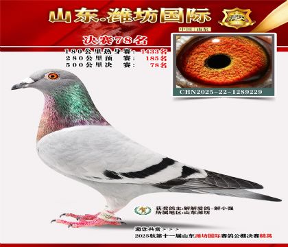 Ϋ�����ʾ���78��