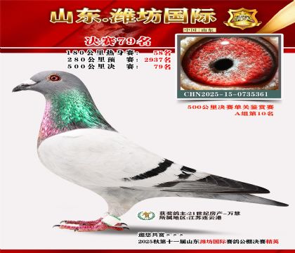 Ϋ�����ʾ���79��