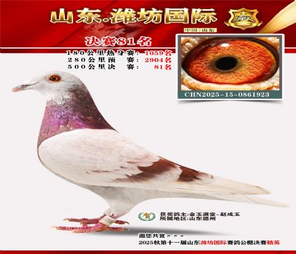 Ϋ�����ʾ���81��