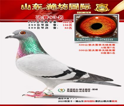 Ϋ�����ʾ���83��