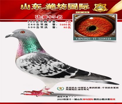 Ϋ�����ʾ���85��