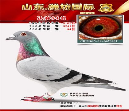 Ϋ�����ʾ���84��