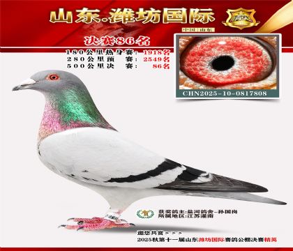 Ϋ�����ʾ���86��