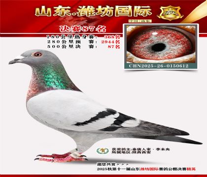 Ϋ�����ʾ���87��