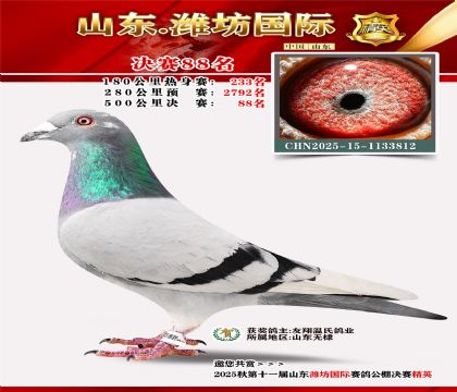 Ϋ�����ʾ���88��