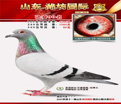 Ϋ�����ʾ���90��