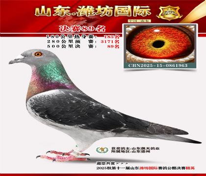 Ϋ�����ʾ���89��