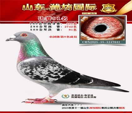 Ϋ�����ʾ���91��