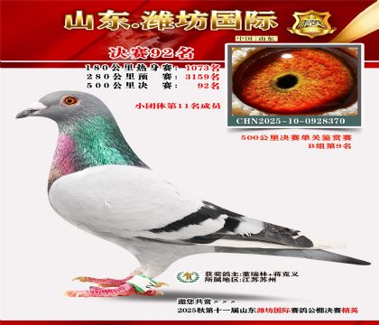 Ϋ�����ʾ���92��