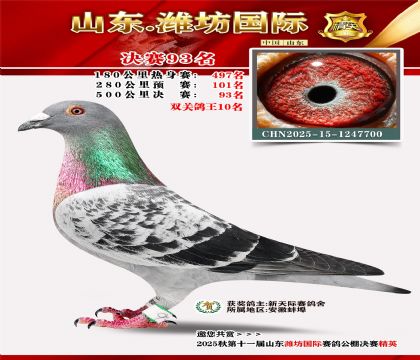 Ϋ�����ʾ���93��