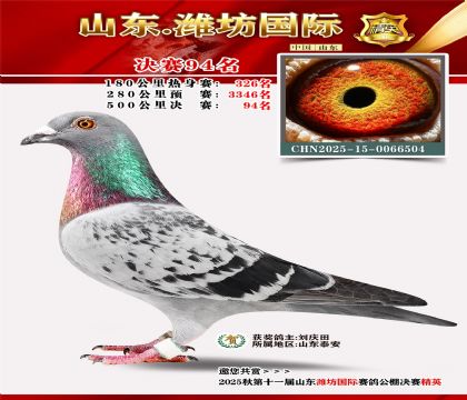 Ϋ�����ʾ���94��